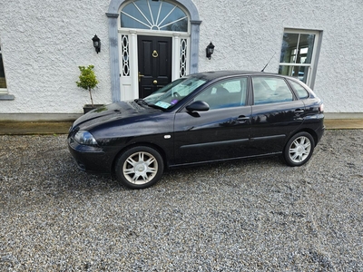 2005 - SEAT Ibiza Manual