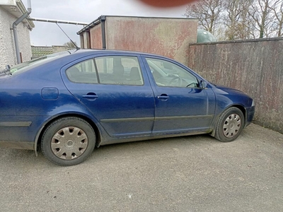 2007 - Skoda Octavia Manual