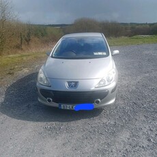 2007 - Peugeot 307 Manual