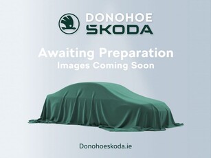 2020 (202) Skoda Kodiaq