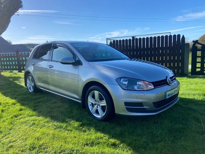 2014 - Volkswagen Golf Manual