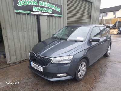 2021 - Skoda Fabia Manual