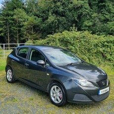 2011 - SEAT Ibiza Manual