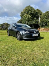 2016 - Volkswagen Golf Manual