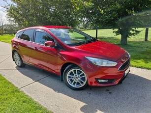 2017 - Ford Focus Manual