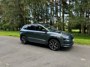 2021 - Skoda Karoq Manual