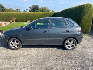 2007 - SEAT Ibiza Manual