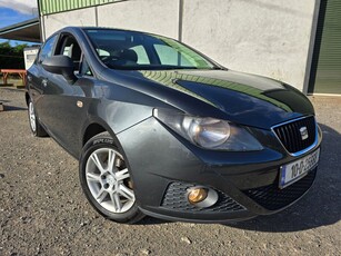 2010 - SEAT Ibiza Manual