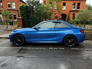 2016 - BMW 2-Series Manual