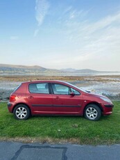 2007 - Peugeot 307 Manual