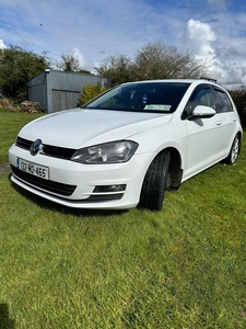 2013 - Volkswagen Golf Manual