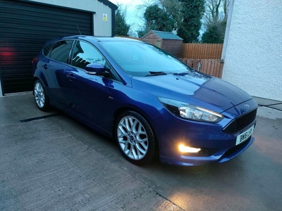 2016 - Ford Focus Manual