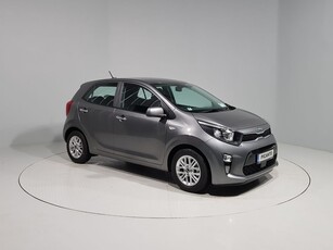 2024 (241) Kia Picanto