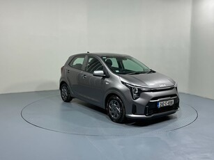 2024 (242) Kia Picanto