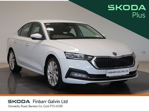 2023 (231) Skoda Octavia