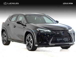 LEXUS UX 250 H