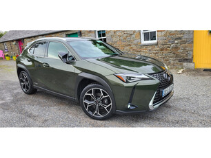 LEXUS UX 250 H