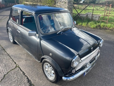 1995 - Rover Mini Manual