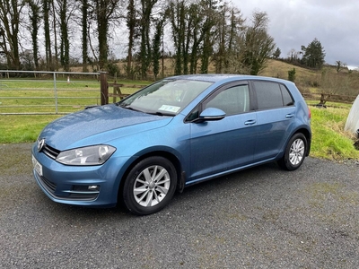 2013 - Volkswagen Golf Manual