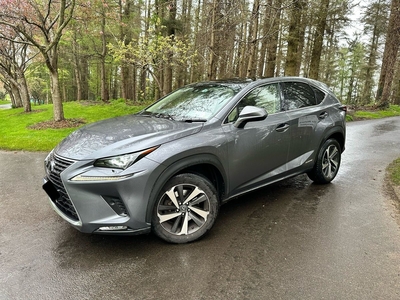 2018 - Lexus NX Automatic