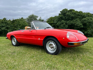 ALFA ROMEO SPIDER