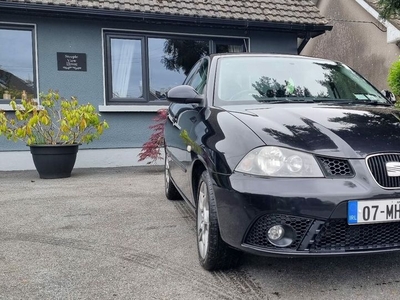 2007 - SEAT Ibiza Manual