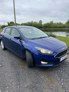 2015 - Ford Focus Manual