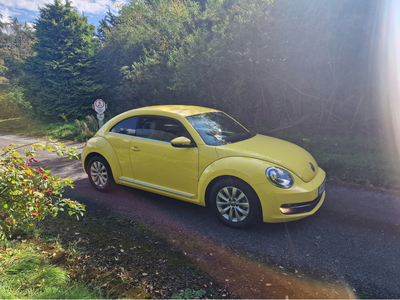 VOLKSWAGEN BEETLE