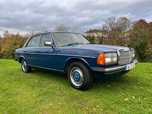 MERCEDES-BENZ 230