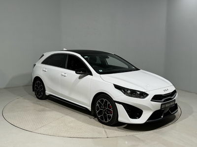 2023 (231) Kia Ceed