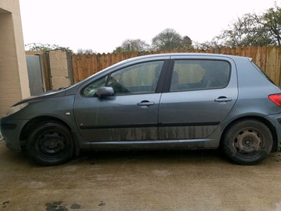 2007 - Peugeot 307 Manual