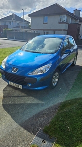 2007 - Peugeot 307 Manual