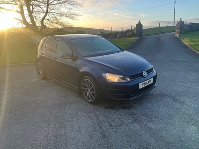 2013 - Volkswagen Golf Manual