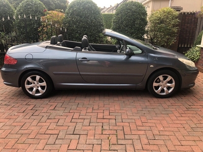 2007 - Peugeot 307 Manual