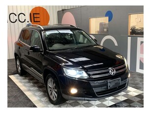 2013 (131) Volkswagen Tiguan