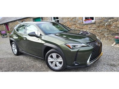 LEXUS UX 250 H