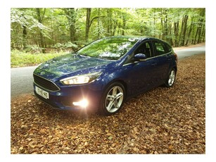 2017 (171) Ford Focus