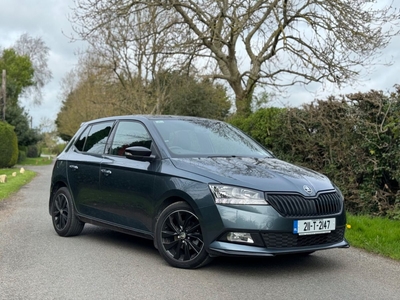 2021 - Skoda Fabia Manual