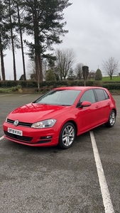 2013 - Volkswagen Golf Manual