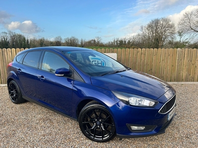 2015 - Ford Focus Manual