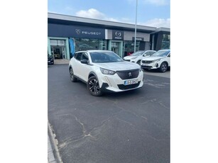 2023 (231) Peugeot 2008