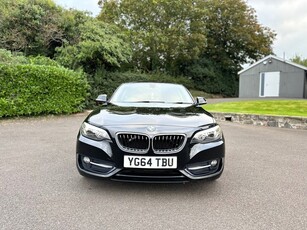 2014 - BMW 2-Series Manual