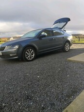 2019 - Skoda Octavia Manual