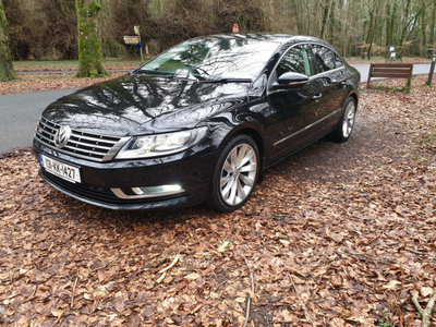 2013 (131) Volkswagen Passat