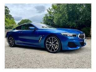 2019 (191) BMW 8 Series