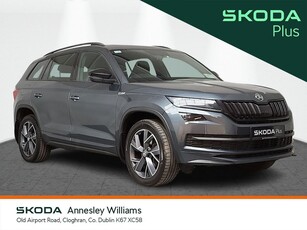 2019 (192) Skoda Kodiaq