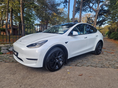 2023 (231) Tesla Model Y