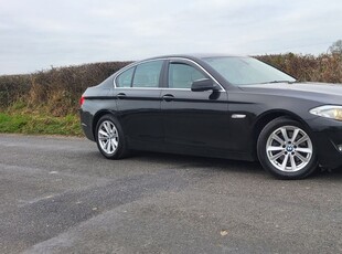 2010 - BMW 5-Series Manual