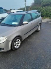 2010 - Skoda Fabia Manual