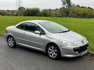 2009 - Peugeot 307 Manual